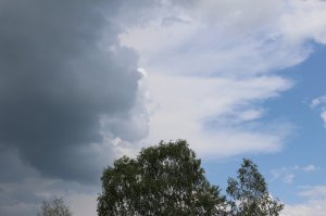 img-0648.jpg